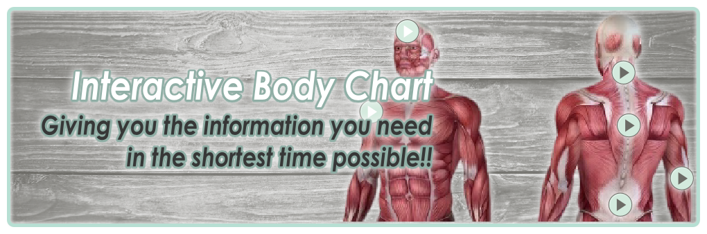 Interactive Body Chart
Giving you the information you need
in the shortest time possible!!
